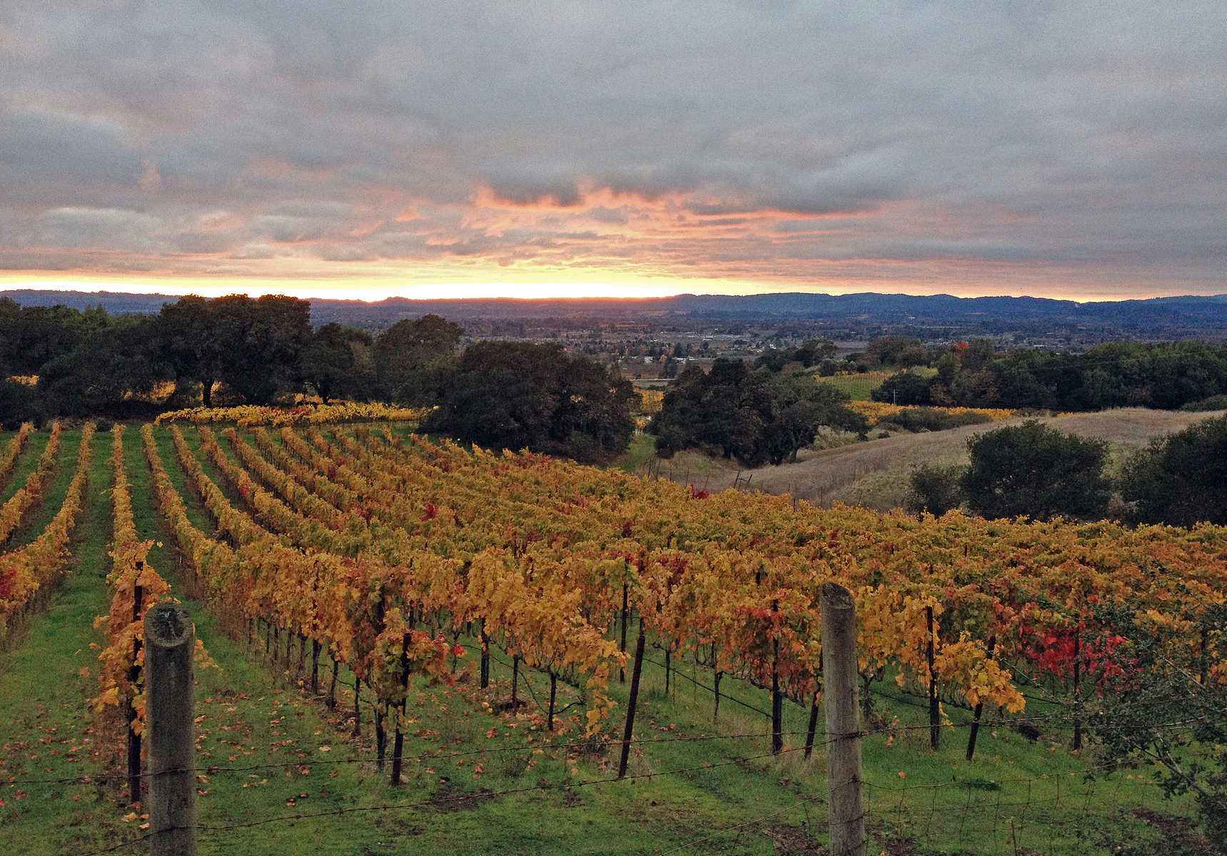 Paradise Ridge winery, Sonoma County, California