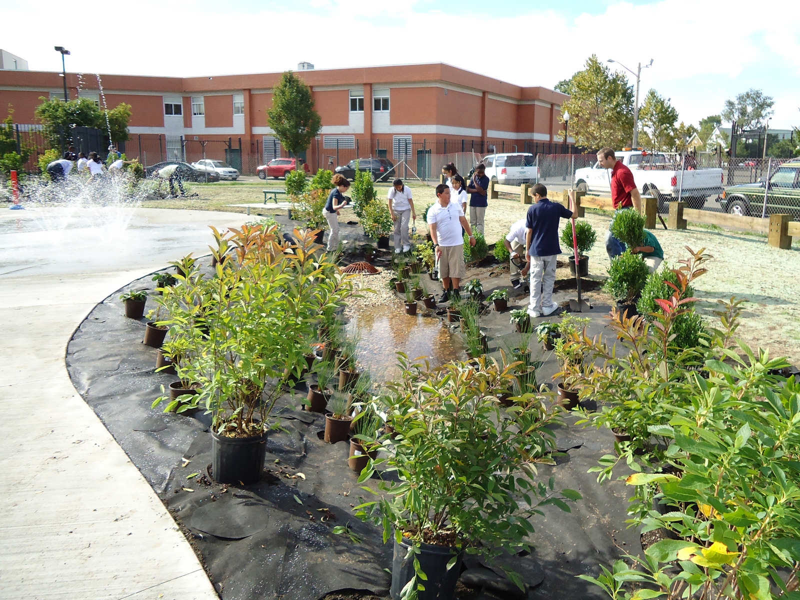 Through a coordinated effort with the city of Bridgeport and Luis Marin school, a planting day was arranged in which students helped install plants surrounding the splash pad. Aside from educating students on the importance of rain gardens, this event also allowed students to take ownership in caring for the park.